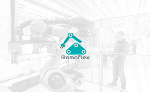 Desarrollo de software a medida, romoflex